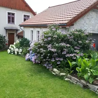 Hortensjowe Wzgórze