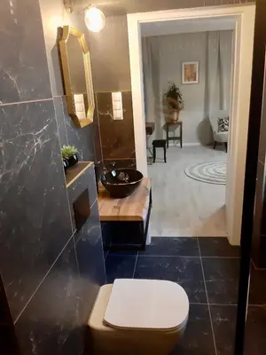 a bathroom with a toilet and a sink and a mirror at Capitals Residence in Oświęcim