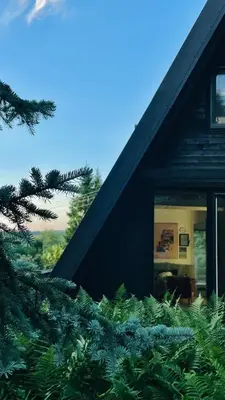 a black house with trees in front of a window at Domek Mały Las in Rzyki