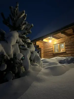 a snow covered pine tree in front of a cabin at Chatka_Kasina in Kasina Wielka