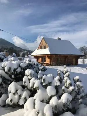 a cabin with snow covered trees in front of it at Chatka_Kasina in Kasina Wielka