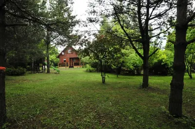 a house in the middle of a field with trees at Szyszka i Róża Domek na Jurze in Zelasko