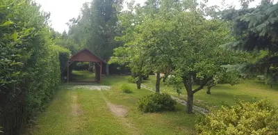 a gazebo in the middle of a field with trees at Szyszka i Róża Domek na Jurze in Zelasko