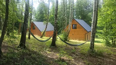 a cabin in the woods with hammocks in front at Las Lorien - wynajem domków letniskowych in Roczyny