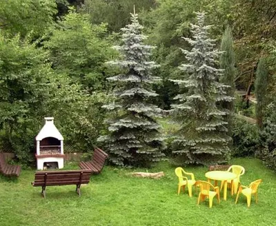 a park with a bench and chairs and a table and a grill at Dom Wczasowy Anna in Rabka