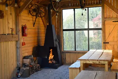 a fireplace in a room with a wood stove at Osada Dzikie Wino in Budzów
