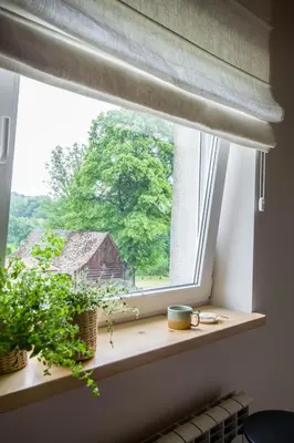 a window with two potted plants and a barn at Złota#208 in Złota