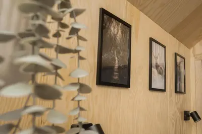 a bunch of mushrooms on a wall with pictures at Aurora Green Hill in Podobin