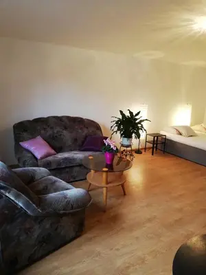 a living room with a couch and a table at Domek pod Zatorem in Ryczów