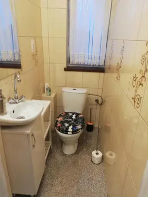 a bathroom with a toilet and a sink at Domek pod Zatorem in Ryczów