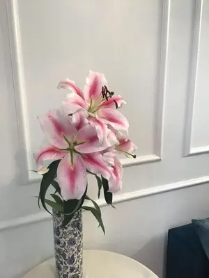 a vase filled with pink flowers on a table at Goldengreen Apartment in Kraków