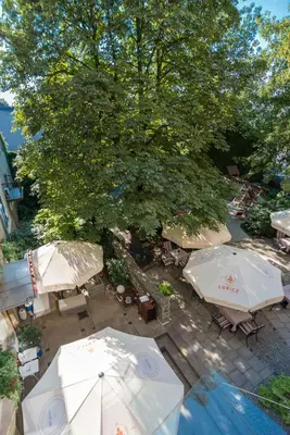 an overhead view of a patio with umbrellas and a tree at Blue Swan in Kraków