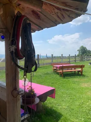 a group of picnic tables and benches in a field at Ranczo Zwierzyniec Noclegi in Jordanów