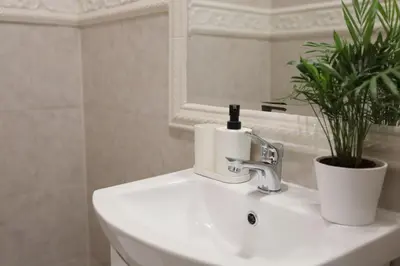 a bathroom with a sink with a potted plant on it at DReAM Post Aparthotel in Kraków