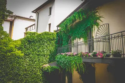 an ivy covered building with flowers on a balcony at Nobilton Hotel in Kraków