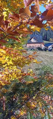 a painting of a house in a field with trees at Gościniec Dziubasowki in Nowy Targ