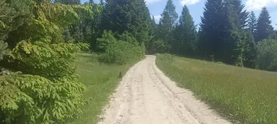 a dirt road in the middle of a field at Gościniec Dziubasowki in Nowy Targ