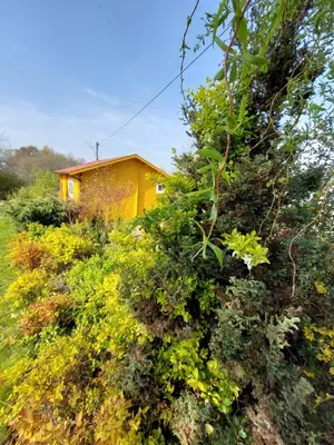 a yellow house in the middle of a field at Domek Kalilla in Bachowice