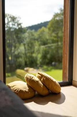 two pillows sitting on top of a window sill at Drwalówka - Domek 