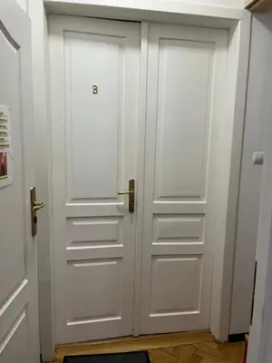 a pair of doors in a hallway at Home in Krakow Silvio's Apartments in Kraków