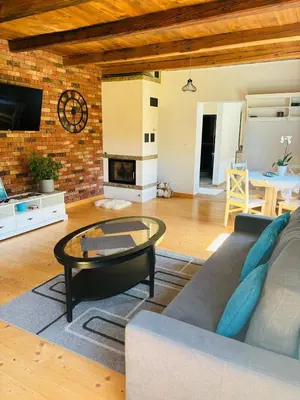 a living room with a couch and a fireplace at Dom pod Jabłonką in Stronie