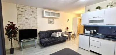 a living room with a couch and a tv and a kitchen at Cracow NOVUM Apartment Downtown 4 persons in Kraków
