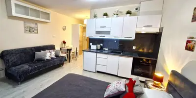 a living room with a couch and a kitchen at Cracow NOVUM Apartment Downtown 4 persons in Kraków