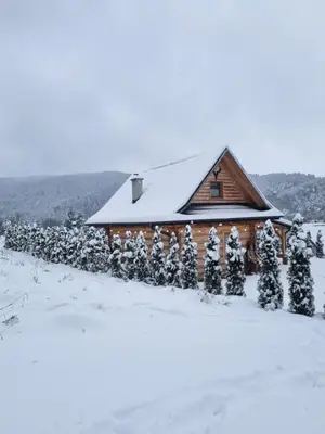a log cabin in the snow with trees at Jodłowa Chata in Myślenice