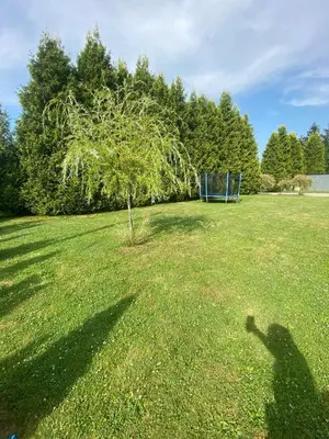 a shadow of a person standing in a field with a tree at Pokoje Gościnne Kossowa Zator Energylandia in Kosowa