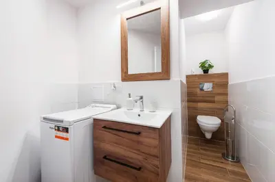 a bathroom with a sink and a mirror and a toilet at Szpitalna Premium Apartment in Kraków