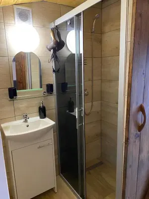 a bathroom with a shower and a sink at Zielone Okiennice in Bachowice