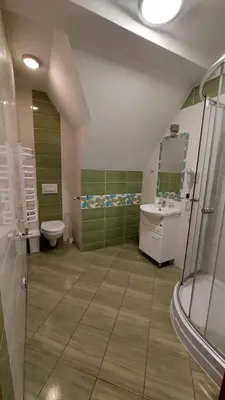 a bathroom with a toilet and a sink at Apartamenty Suzyw Pilsko in Pewelka