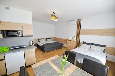 a bathroom with a sink and a glass shower at Apartamenty Tilia Laskowa - Zator in Laskowa