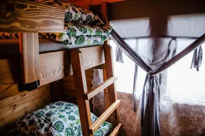 two bunk beds in a room with a window at Domki na Górniej Łące - Domek Słowik in Łazany