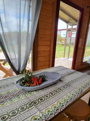 a table with a bowl of flowers on top of it at Domki na Górniej Łące - Domek Słowik in Łazany
