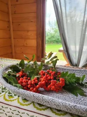 a bowl of berries on a table with a window at Domki na Górniej Łące - Domek Słowik in Łazany