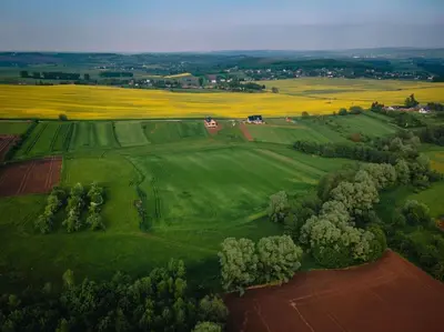 an aerial view of a green field with trees and houses at Domki na Górniej Łące - Domek Słowik in Łazany