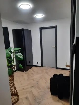 a living room with a door and a potted plant at GOLD&BLACK OŚWIĘCIM CENTRUM in Oświęcim