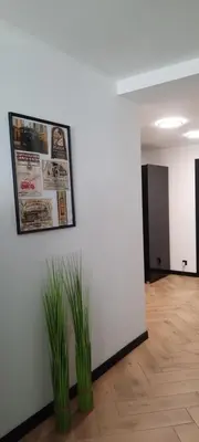 a white wall with a picture and some plants at GOLD&BLACK OŚWIĘCIM CENTRUM in Oświęcim