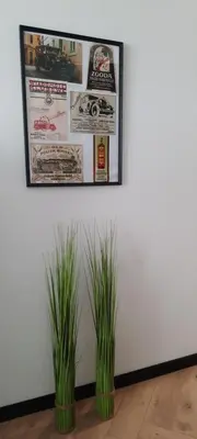 two plants in front of a wall with a picture at GOLD&BLACK OŚWIĘCIM CENTRUM in Oświęcim