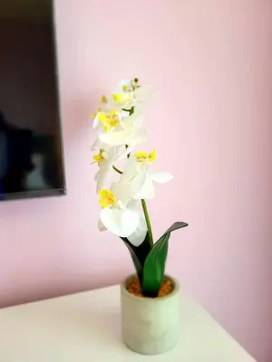 a bunch of white flowers in a pot on a table at Eksclusive Apartment PARADISE DOWN TOWN 6 persons 3 rooms in Kraków