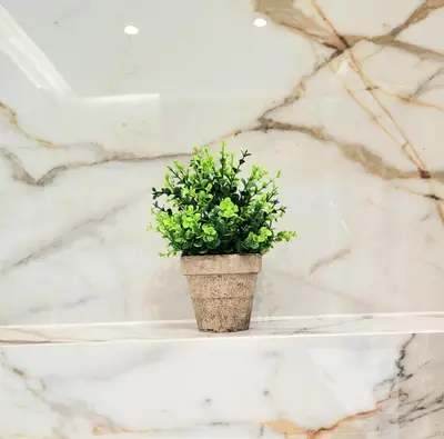 a plant in a pot on a white marble wall at Eksclusive Apartment PARADISE DOWN TOWN 6 persons 3 rooms in Kraków