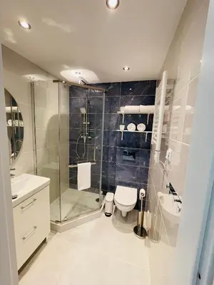 a bathroom with a shower and a toilet and a sink at Beds Friends Apartments in Zator