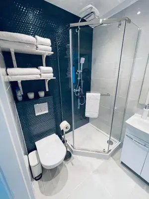 a bathroom with a shower and a toilet and a sink at Beds Friends Apartments in Zator