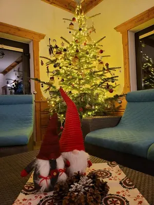 a christmas tree in a living room with a santa claus toy at Willa pod Babią Górą in Zubrzyca Górna