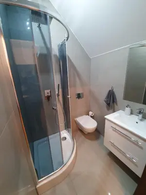 a bathroom with a shower and a toilet and a sink at Willa pod Babią Górą in Zubrzyca Górna