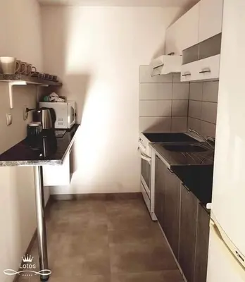 a small kitchen with a stove and a sink at Apartament Lotos in Zator