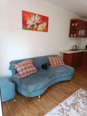 a cat sitting on a blue couch in a living room at Viking Rożnów in Rożnów