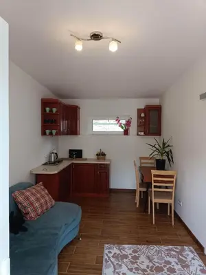 a room with a kitchen and a table with a couch at Viking Rożnów in Rożnów