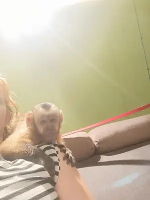 a monkey sitting on top of a woman at Uroczy apartament in Kraków